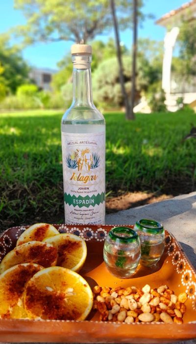 WhatsApp Image 2025-10-04 at 1.57.35 PM (2)